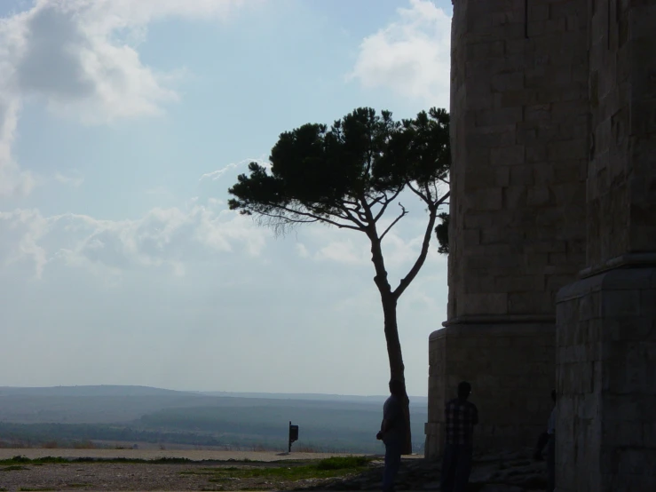 people stand near a tree with a view in the background