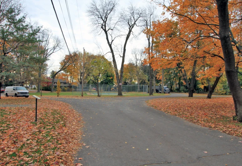 a leaf covered sidewalk leading to a tennis court