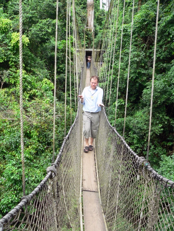 a man walking on a rope bridge in a forest