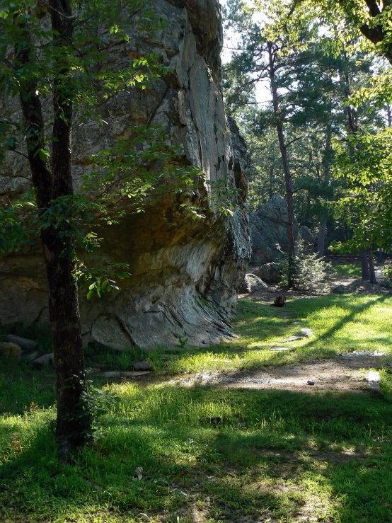 a field with some trees by some cliffs