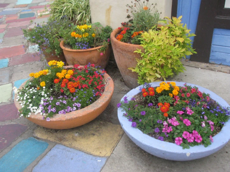a group of four flower pots on a sidewalk