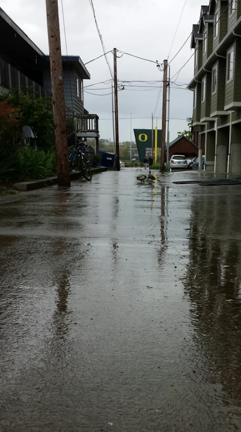 two buildings next to a street flooded by rain