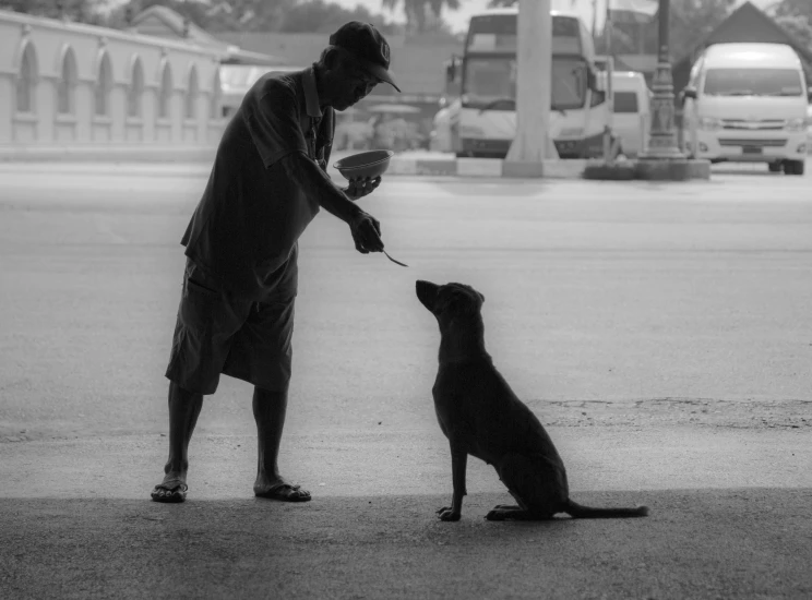 a man is feeding a dog on a street