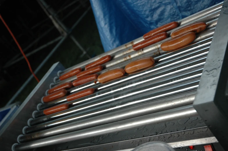  dogs frying on a conveyor belt for making sausages