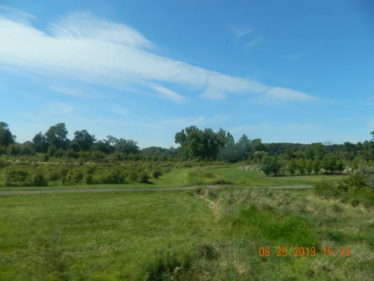 some grass and trees in a big field