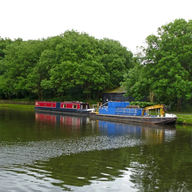 some trees some boats water bushes and trees