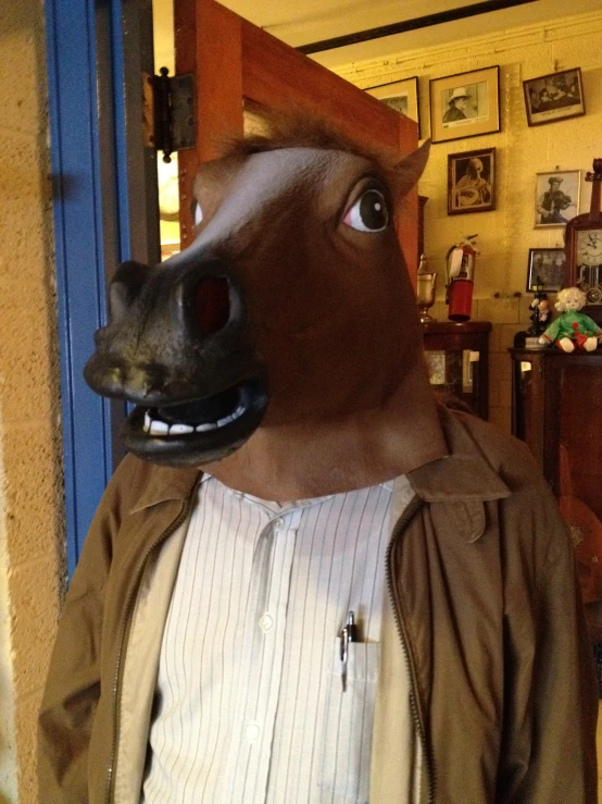 the man is in a horse mask and shirt