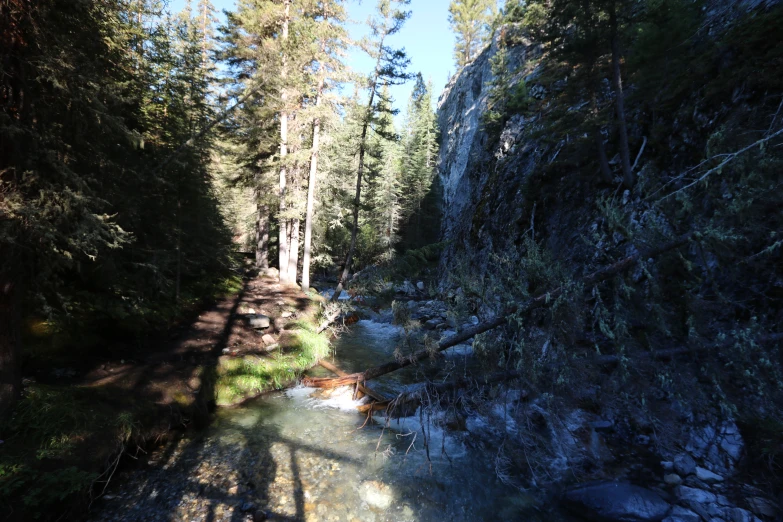 the stream in the wilderness is flowing clear