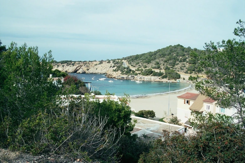 a view looking over a beach next to trees