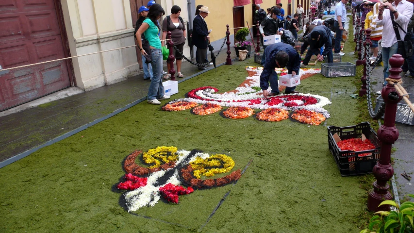 several people lay their artfully on the grass