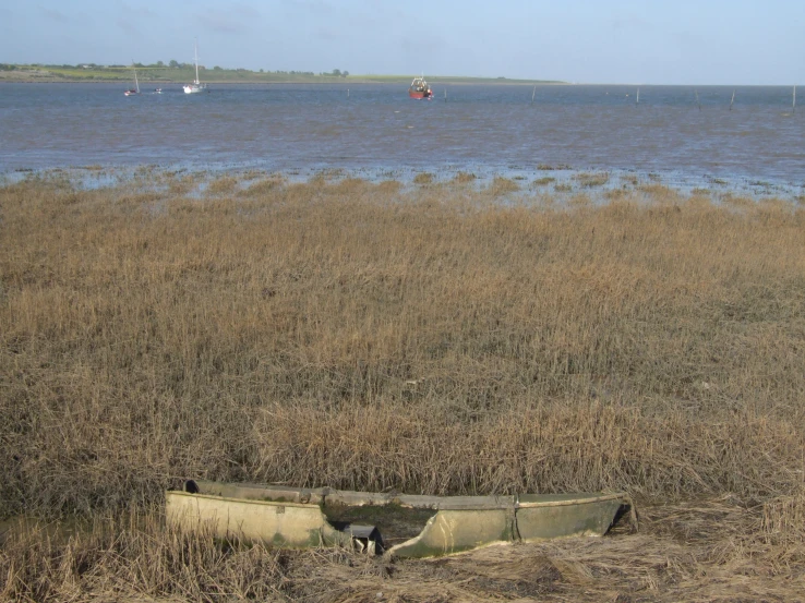 a small canoe in a grassy field near the water