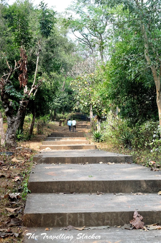 an image of some stairs going up the trail