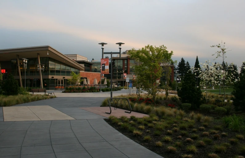 an open public park with various green plants on each side