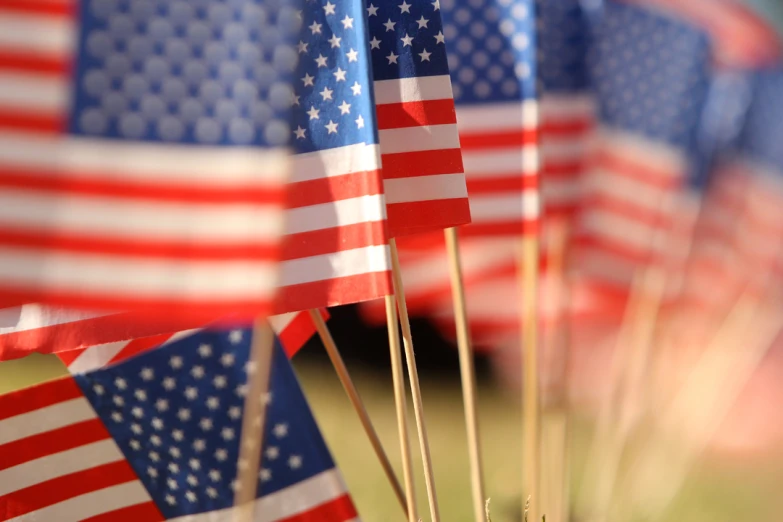 a group of american flags on sticks near each other