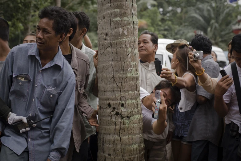 people are holding their cameras near the tree