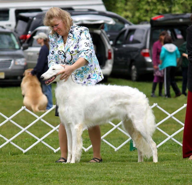 a woman grooming a large white dog with a red collar