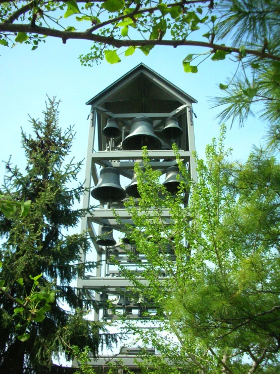 a clock tower is surrounded by tree limbs