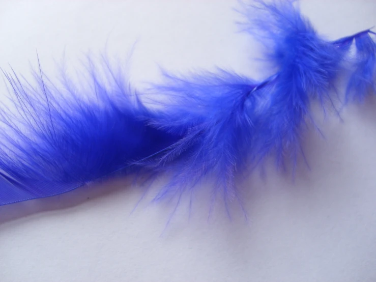 an odd looking blue brush with feathers on it