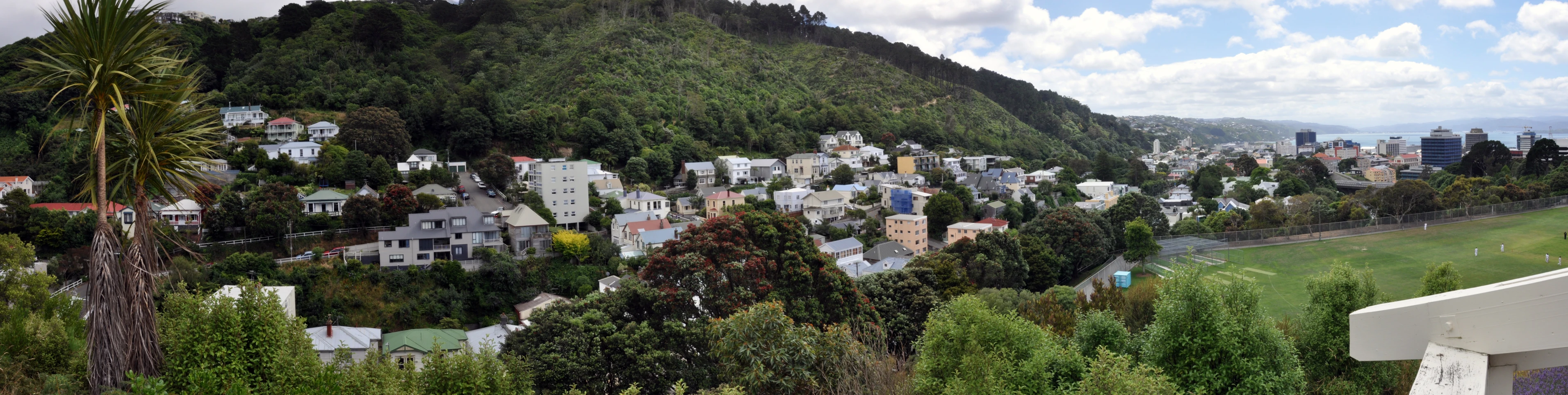 the valley of houses near to mountains is full of trees