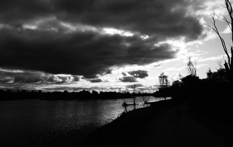 a black and white po of water near trees