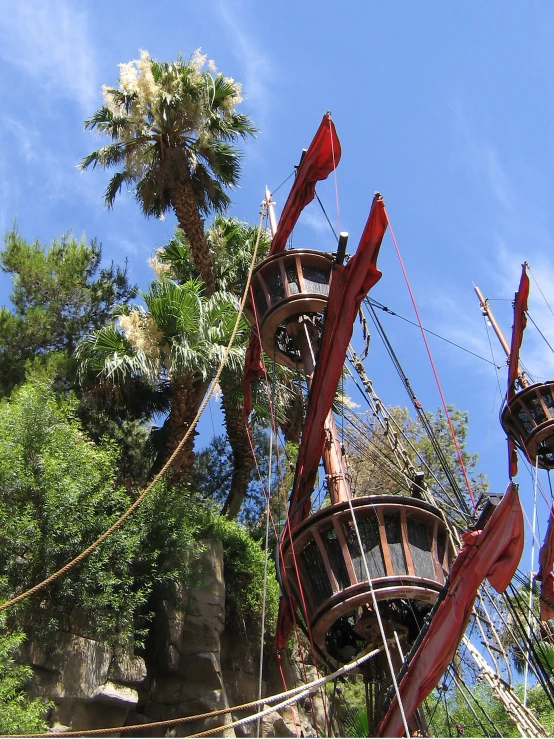 there are ropes and ropes leading to a tree top