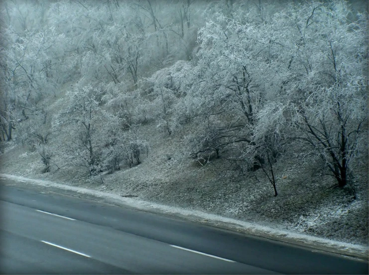 a car is driving along a frosty road