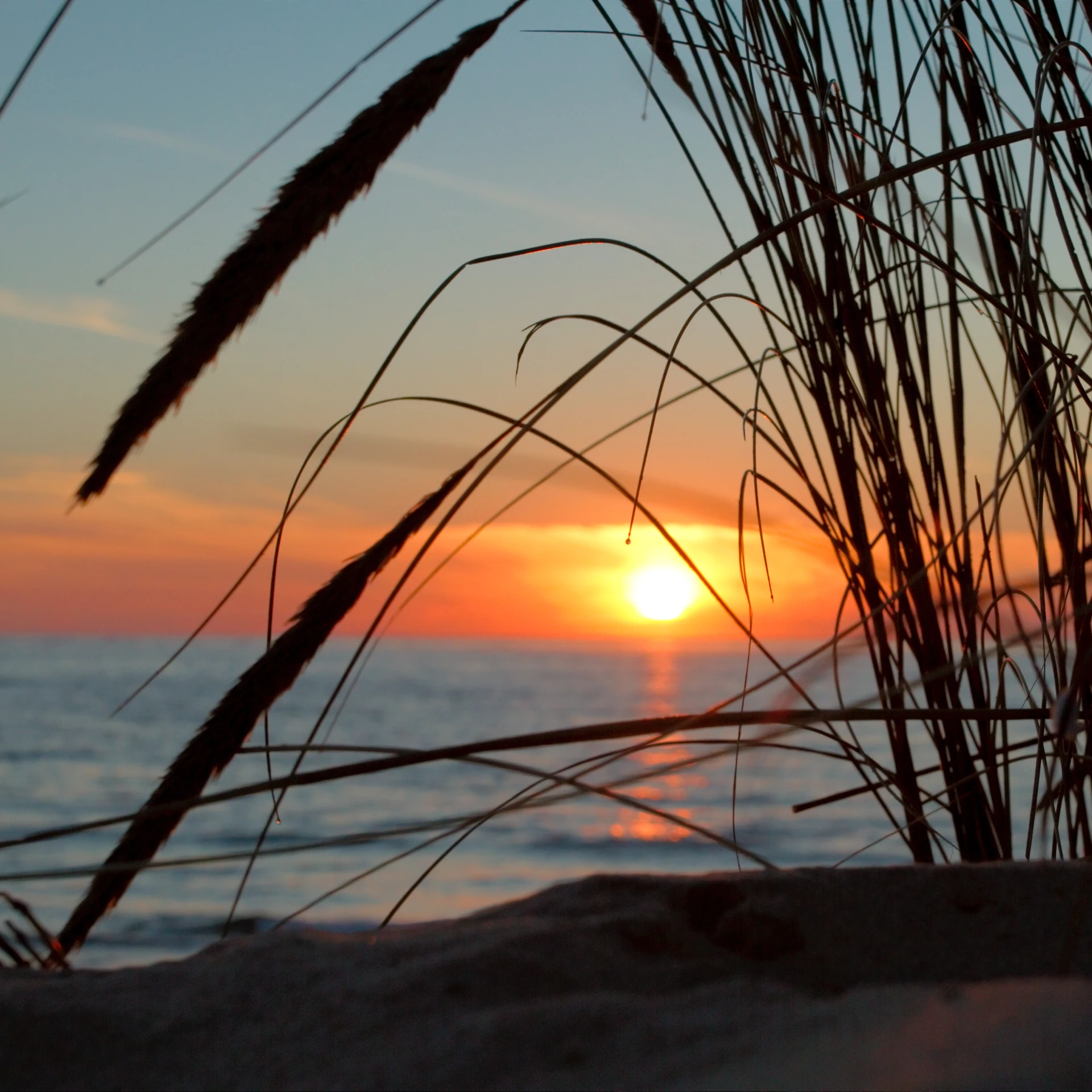 a beautiful sunrise on the beach by some tall grass