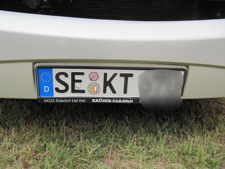 an automobile license plate in the grass