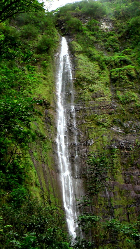 a view of a waterfall in the mountains with very green vegetation on the cliff