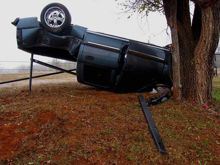 the damaged car is parked in a tree