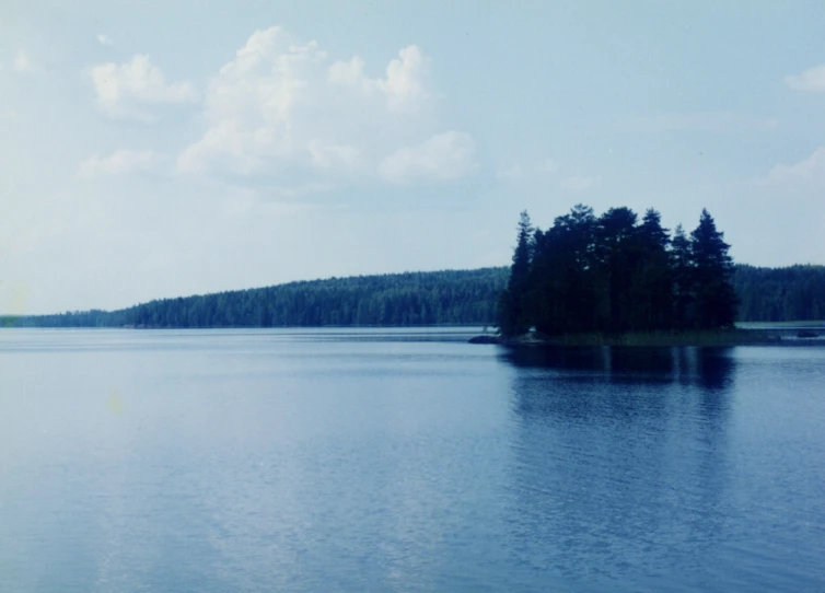 the landscape shows several different trees that are on the side of a lake