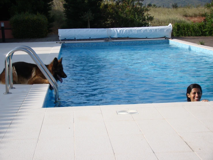 a boy and a dog are in the pool