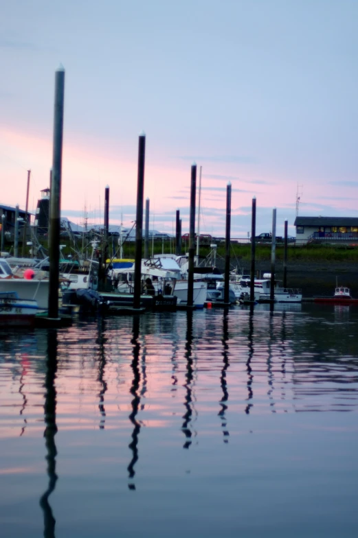 boats moored at a marina at sunset