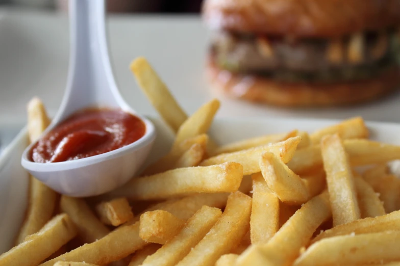 some fries and a burger on a plate