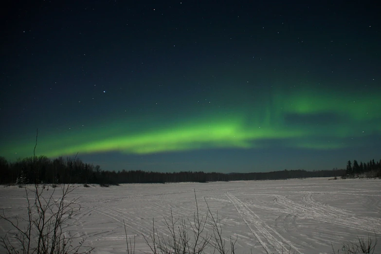 the bright green aurora above a snow covered field