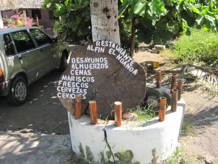 a tree that has been cut into pieces