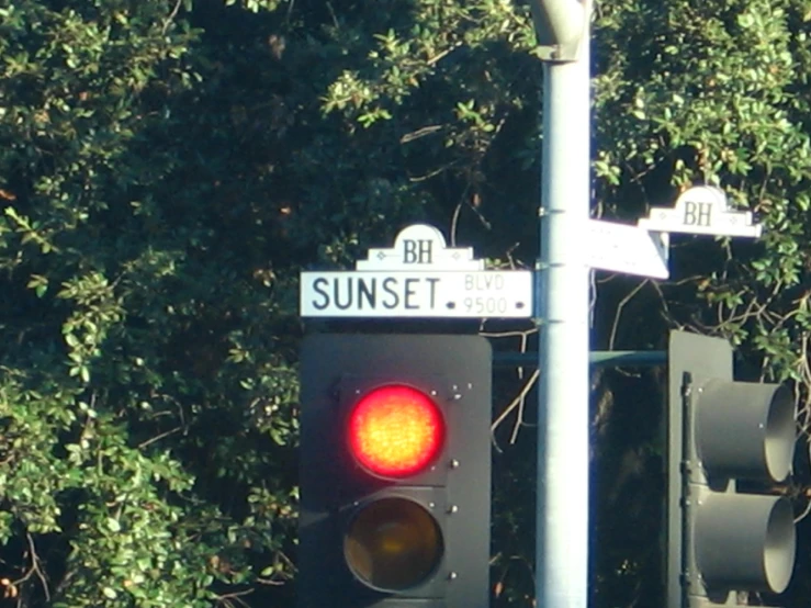 a traffic light and street sign with bush in background