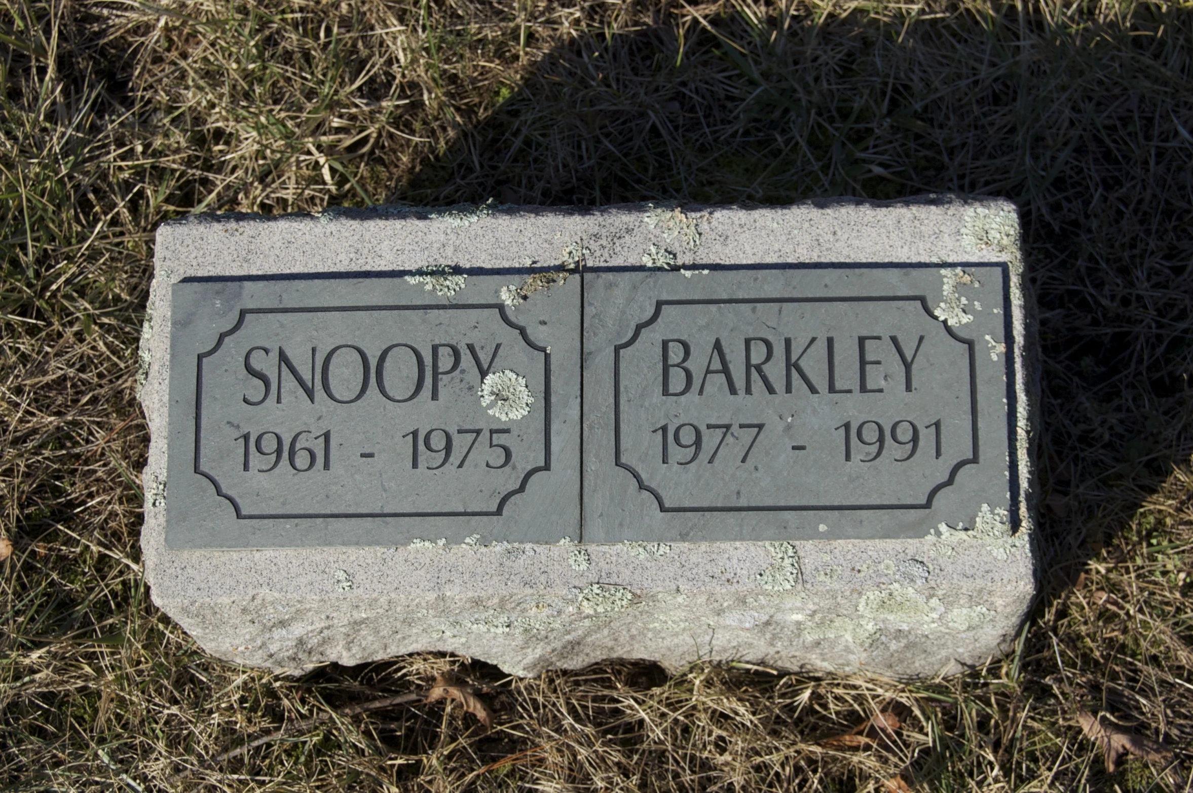 a headstone sits on the grass by the sidewalk