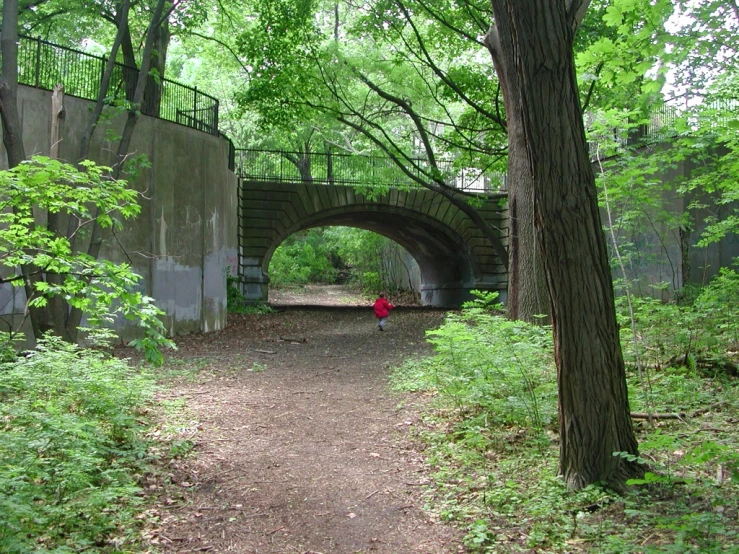 a road surrounded by trees and a bridge