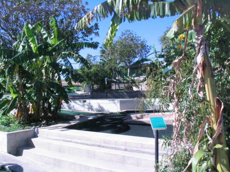 the walkway has an artificial palm tree next to it