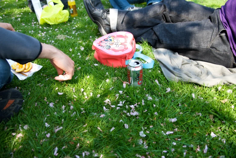 several people are sitting in the grass eating