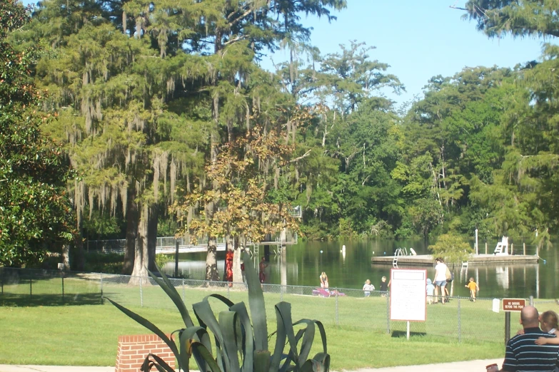 two people sitting in a park, next to a lake