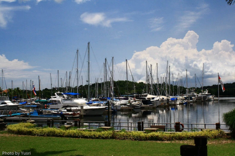 boats moored at a marina on a beautiful day