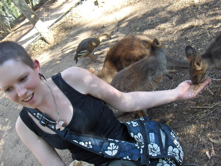 a woman in a black tank top feeds a kangaroo