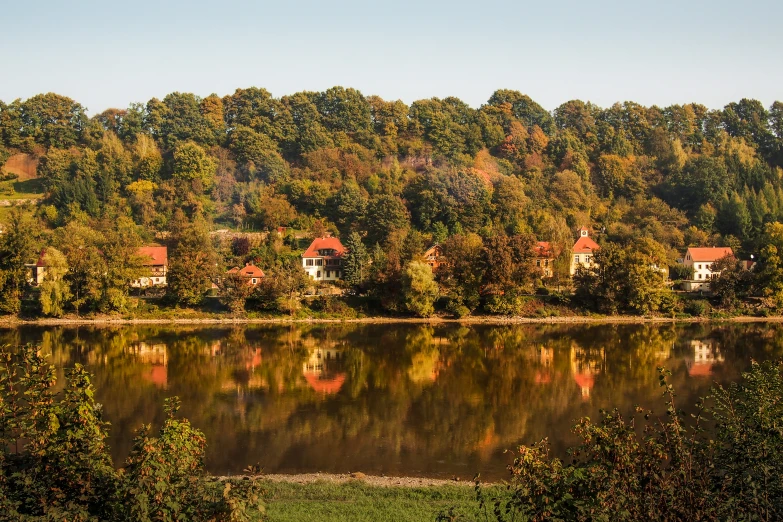 a scenic view of a lake in the middle of a forested area