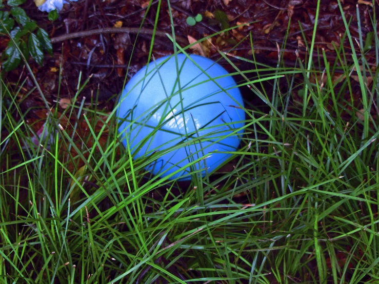 a blue ball sitting on the grass between two green blades