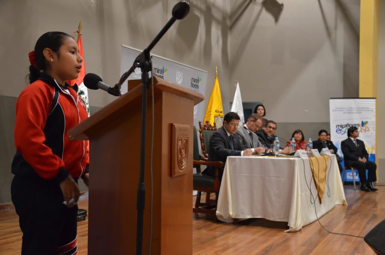 a group of people sit at a podium and stand next to microphones