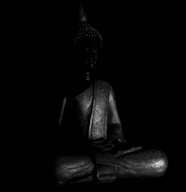 a statue of buddha in the middle of a dark space