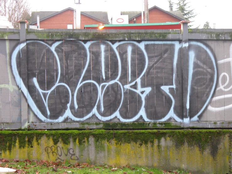 a graffiti covered wall in a back yard