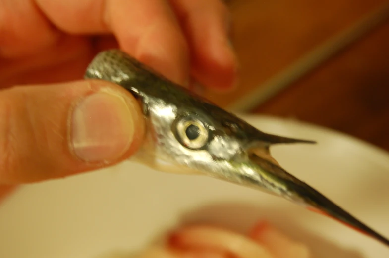 someone holding a silver object up to a small object with a large spoon